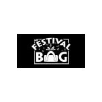 MyFestivalBag coupons and promo codes