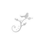 Myweddingbasics.com coupons and promo codes