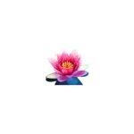 New Renaissance Bookstore coupons and promo codes