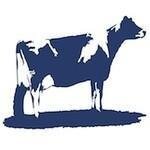 New York Kosher Steaks coupons and promo codes