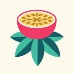 Oioba coupons and promo codes