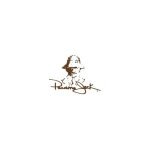 Panama Jack coupons and promo codes