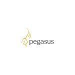 Pegasus Software coupons and promo codes