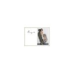 Pencey coupons and promo codes