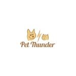 Pet Thunder coupons and promo codes