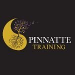 Pinnatte Training coupons and promo codes