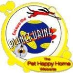 Simple Chic Jewlry coupons and promo codes