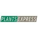 Plants Express coupons and promo codes