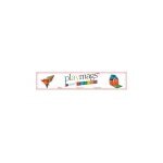 PlayMags coupons and promo codes