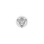 Positively Vibe coupons and promo codes
