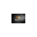 Powerpressive coupons and promo codes