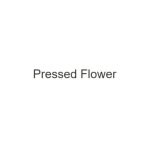Pressed Flower coupons and promo codes