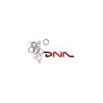 DNA coupons and promo codes