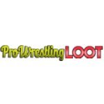 Prowrestlingloot.com coupons and promo codes
