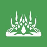 Queen City Hemp coupons and promo codes