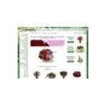 Raimondisflorist.com coupons and promo codes