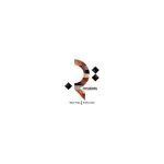 RaysCreationsPK coupons and promo codes