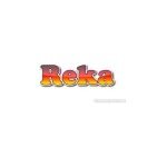Reka coupons and promo codes