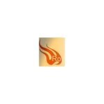 Ro's Glass World coupons and promo codes