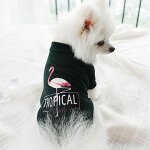 Sasha Fashion Pet coupons and promo codes