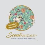 Scentanicals coupons and promo codes