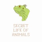 Secret Life of Animals coupons and promo codes