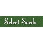 Select Seeds coupons and promo codes