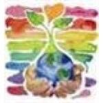 Shidon.com coupons and promo codes