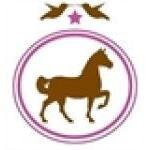 Show Pony coupons and promo codes