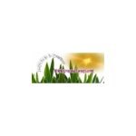 Jody's Soap and Things coupons and promo codes