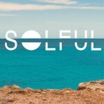 SOLFUL coupons and promo codes