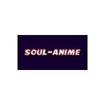 Soul-Anime coupons and promo codes