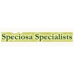 Speciosa Specialists coupons and promo codes