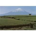 Teachest.com coupons and promo codes