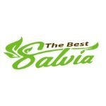 The Best Salvia coupons and promo codes