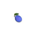 Blue Plum Software coupons and promo codes