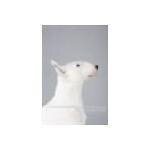 Thephotobookstore.com coupons and promo codes