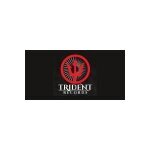 Trident Records coupons and promo codes