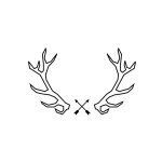 Try Wild Clothing coupons and promo codes