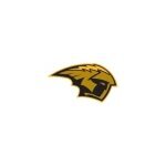 UW-Oshkosh Athletics coupons and promo codes