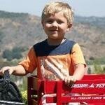 Wagonworld. coupons and promo codes