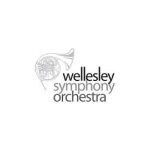 Wellesley Symphony Orchestra coupons and promo codes