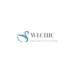 Wlchic coupons and promo codes