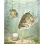 Zach Even Art coupons and promo codes
