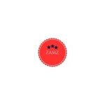 ZAMZ Accessories coupons and promo codes