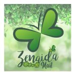 Zenaida Mart coupons and promo codes