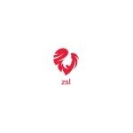 ZSL Wigs coupons and promo codes