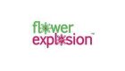 Flower Explosion