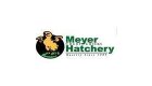 Meyerhatchery.com